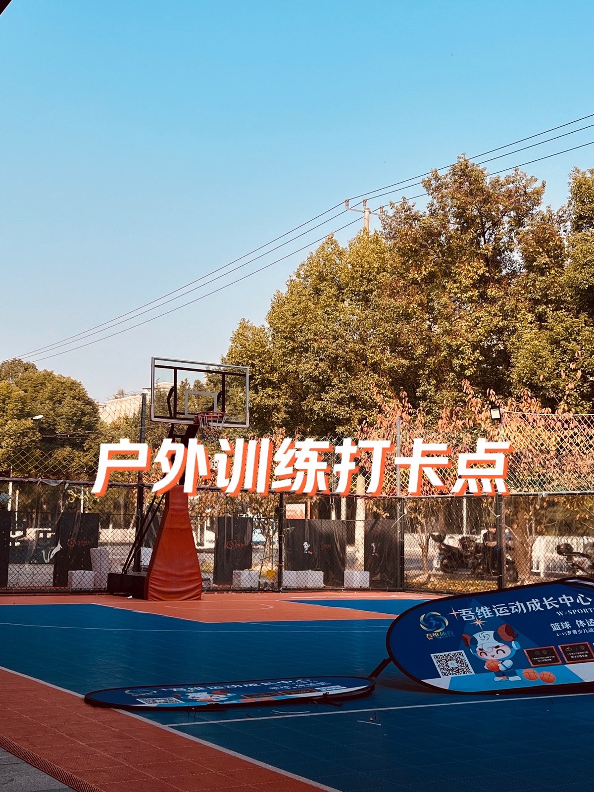 篮球训练营一年能挣多少钱